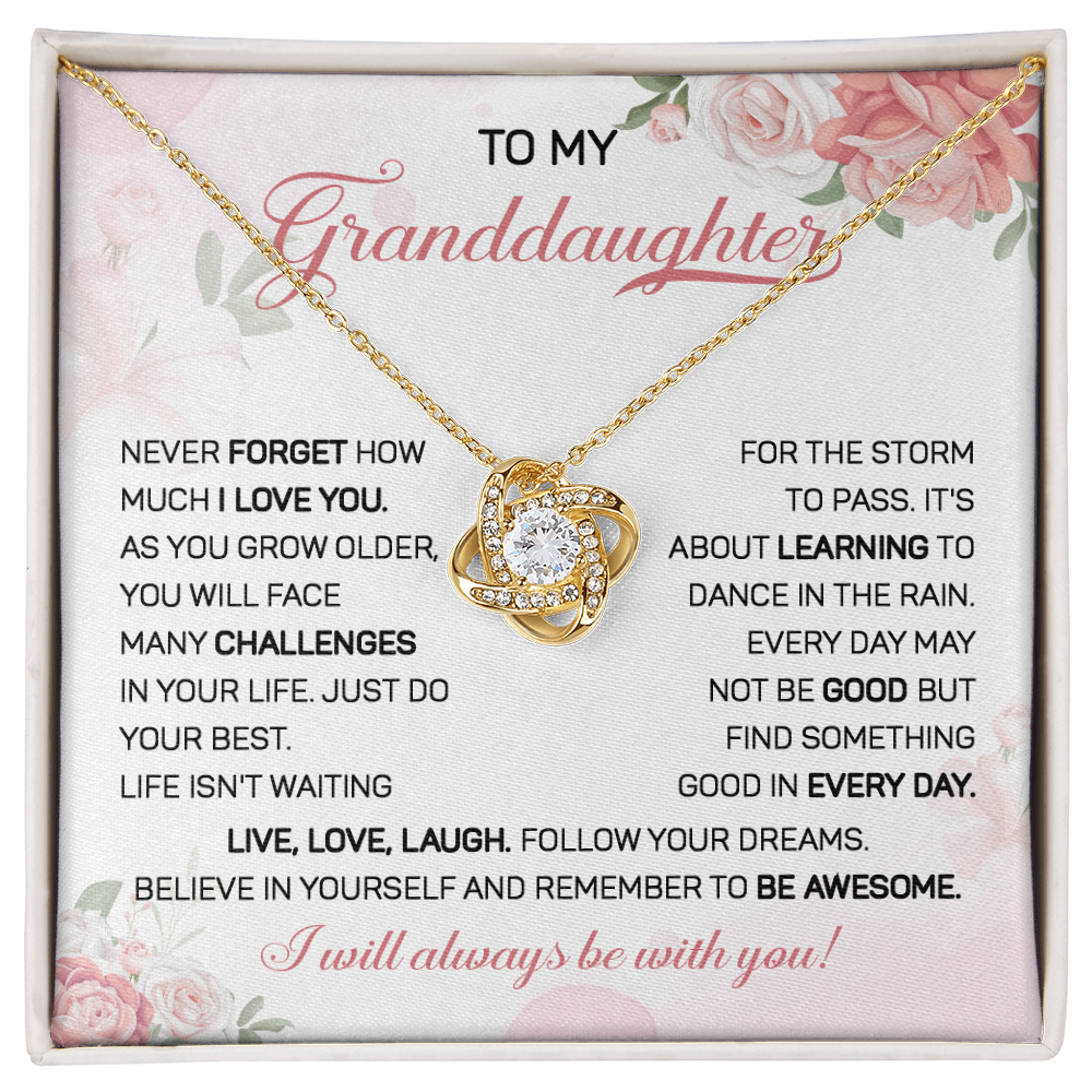 To my granddaughter necklace gift never forget how much i love you.