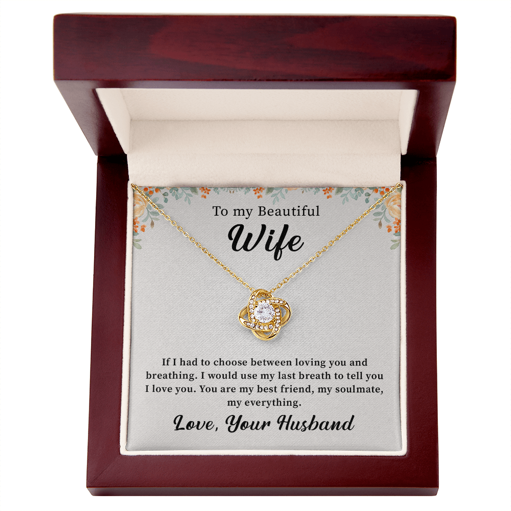 To my beautiful wife necklace gift from husband.