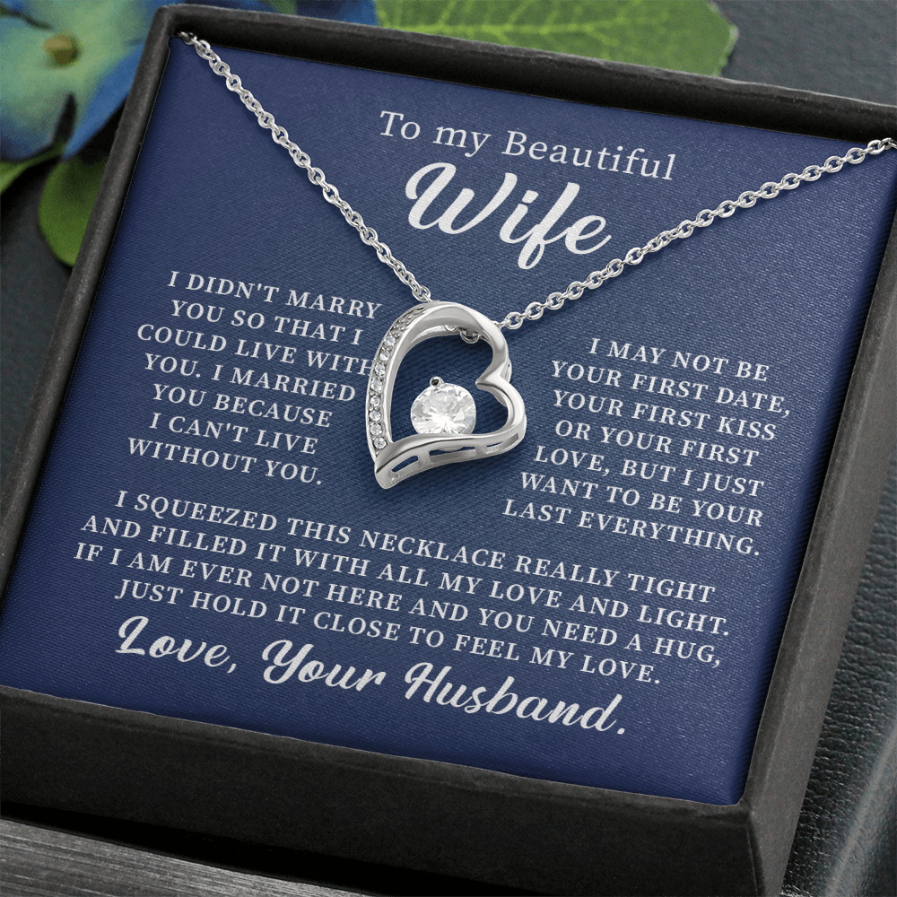 To my beautiful wife necklace i didn't marry you so that i could live with you. v3