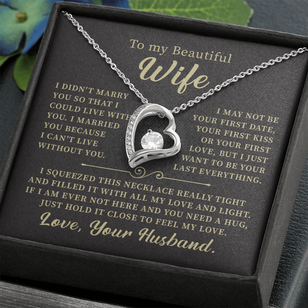 To my beautiful wife necklace i didn't marry you so that i could live with you. v6