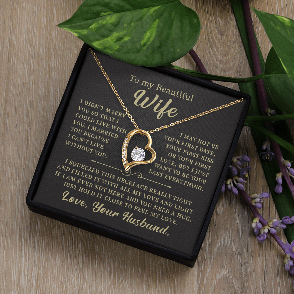 To my beautiful wife necklace i didn't marry you so that i could live with you. v6