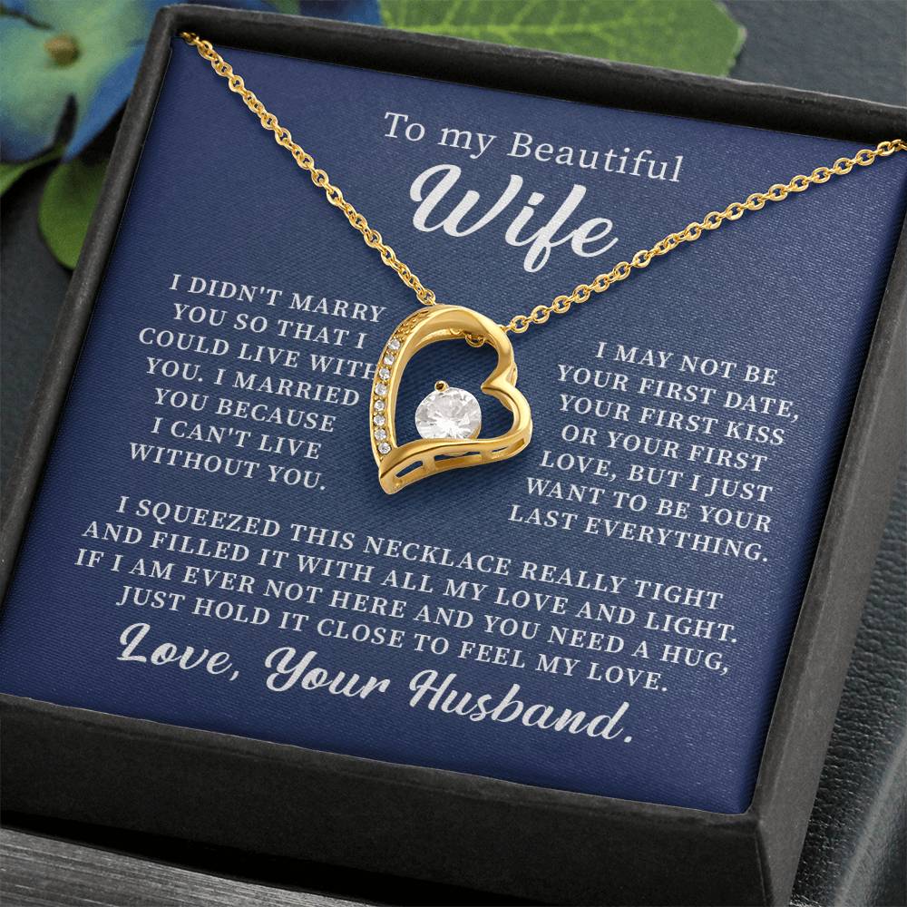 To my beautiful wife necklace i didn't marry you so that i could live with you. v3