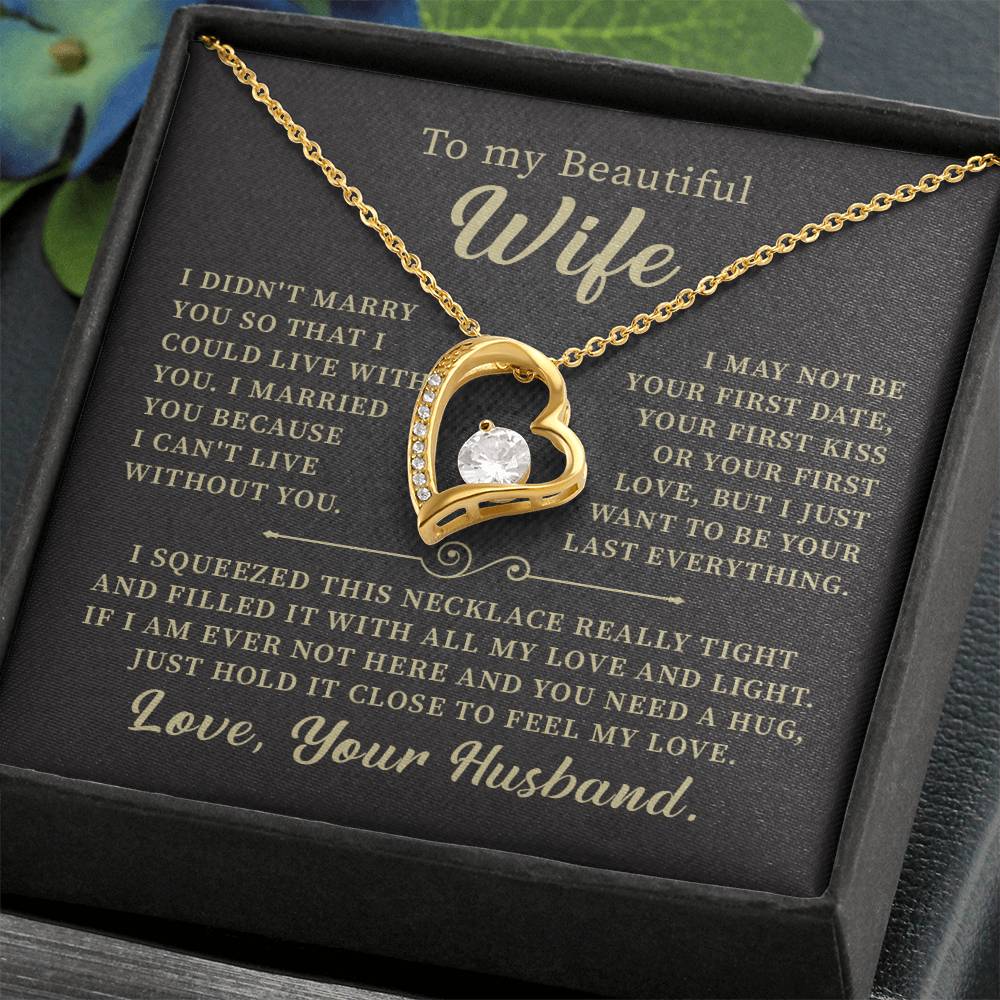To my beautiful wife necklace i didn't marry you so that i could live with you. v6